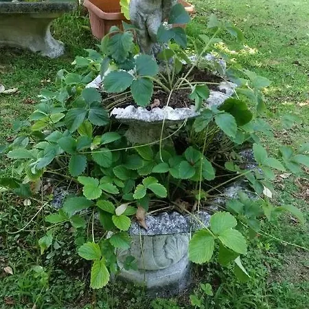 Ca'mea Dormelletto